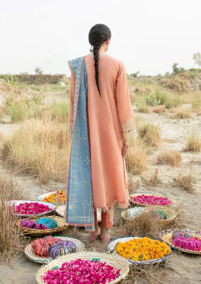 Qalamkar - Qline Summer Collection