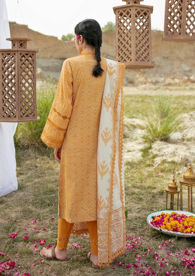 Qalamkar - Qline Summer Collection